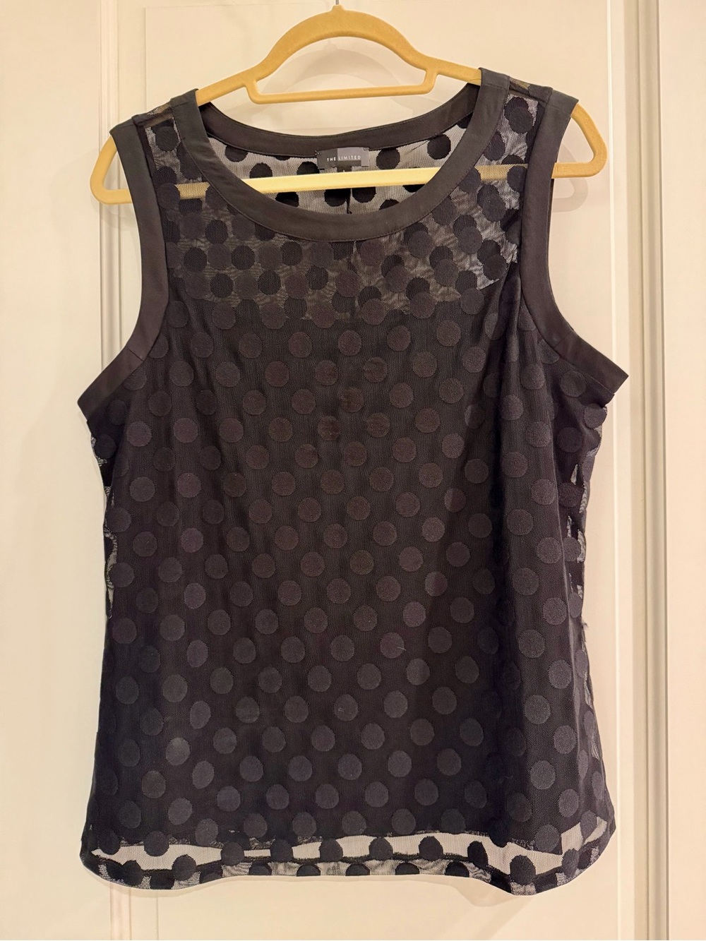 The Limited Black Polka-Dot Mesh Sleeveless Top